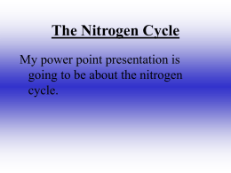 The Nitrogen Cycle - Whalsay School
