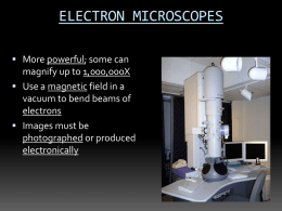 The Scanning Electron Microscope (SEM)