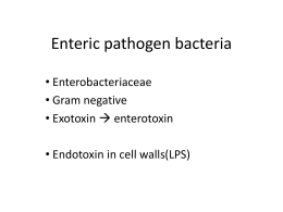 Enteric pathogen bacteria
