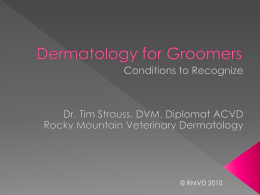 Dermatology for Groomers - Rocky Mountain Veterinary