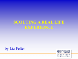SCOUTING A REAL LIFE EXPERIENCE