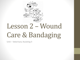 Lesson 2 - Wound Care and Bandaging