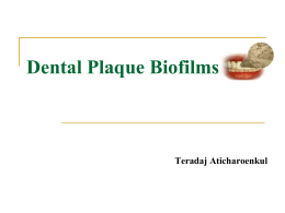 Dental Plaque Biofilms - Ministry of Public Health