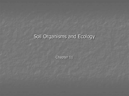 Soil Atmosphere - UC Berkeley College of Natural Resources