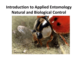 Introduction to Applied Entomology Natural and Biological