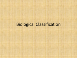 Biological Classification - Sebastian Charter Junior High