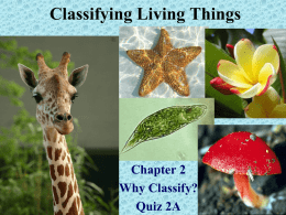 Classifying Living Things - Miss Stanley Cyber Classroom