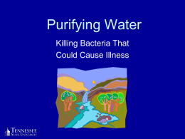 Purifying Water