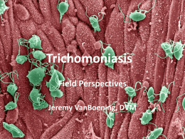 Trichomoniasis - National Institute for Animal Agriculture