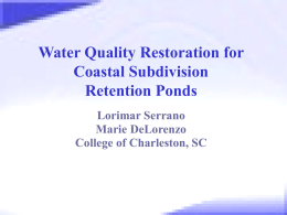 Water Quality Restoration for Coastal Subdivision