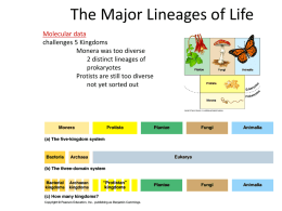 The Major Lineages of Life