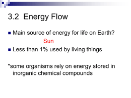 3.2 Energy Flow