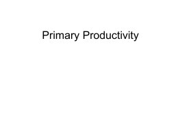 Primary Productivity - Monterey Bay Aquarium Research