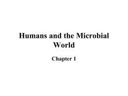 History in Microbiology