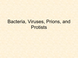 Bacteria , Viruses, Protists , and Prions