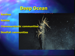 Deep Ocean - Cornell College