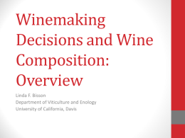 Winemaking Decisions and Wine Composition: Overview