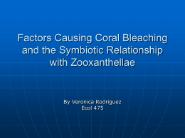 Factors Causing Coral Bleaching and the Symbiotic
