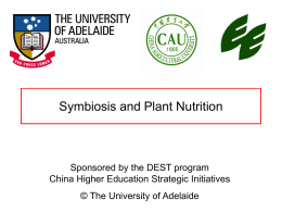 Symbioses and plant nutrition