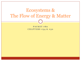 Introduction to Ecosystems The Flow of Energy & Matter