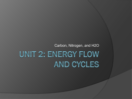 UNIT 2: Energy Flow and Cycles