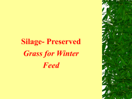Silage- Preserved Grass for Winter Feed