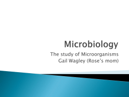 Microbiology - Timber Ridge Elementary