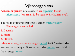 Microorganism - Mr. Wickham's Class