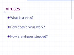 WHAT THE HECK IS A VIRUS