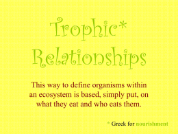 OCEN1067N - Slideshow - Trophic Relationships