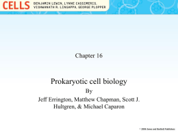 Chapter 16 - Introductory & Human Biology
