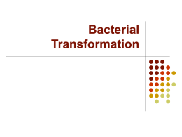 Bacterial Transformation - Eastern Regional High School