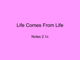 Life Comes From Life