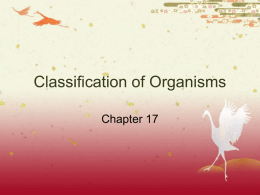 Classification of Organisms - Science 4 Warriors