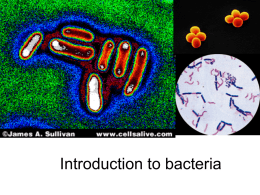 Introduction to bacteria - College Heights Secondary