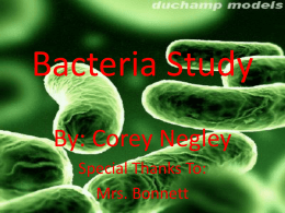 Bacteria Study - Highlands School District