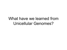 What have we learned from Unicellular Genomes?
