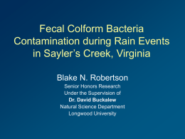 Bacterial loading and streamflow (Honor`s project)