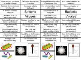 Bacteria vs. Virus Venn Diagram