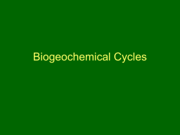 Biogeochemical cycles (carbon only)