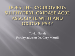 Does the baculovirus sulfhydryl oxidase Ac92 associate with and