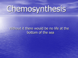 Chemosynthesis Where Is It Found?
