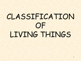 The 5 KINGDOMS of Classification
