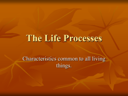 The Life Processes - Valhalla High School