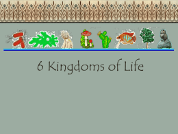 The 6 Kingdoms PowerPoint