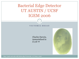 Bacterial Edge Detector