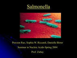 History of Salmonella