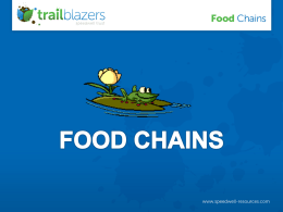 Food Chains - Speedwell Trust