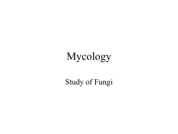 Mycology - De Anza College