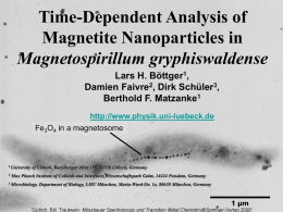 Time-Dependent Analysis of Magnetite Nanoparticles in